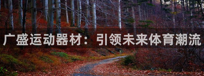 意昂4科技：广盛运动器材：引领未来体育潮流