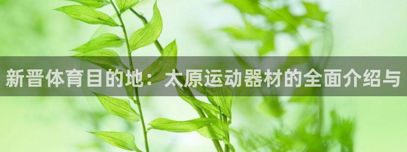 意昂4集团logo：新晋体育目的地：太原运动器材的全面介绍与