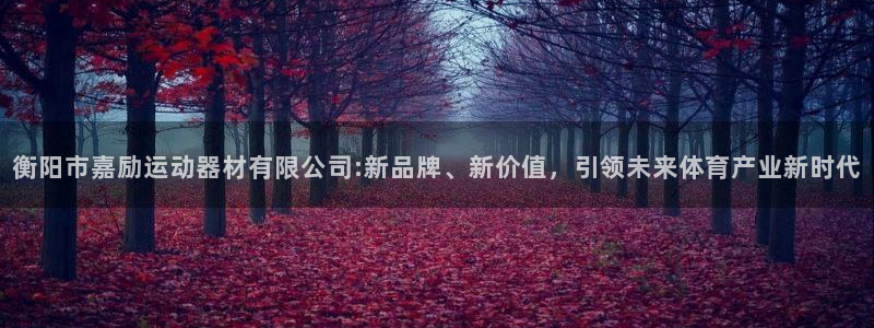 意昂体育4软件：衡阳市嘉励运动器材有限公司:新品牌、新价值，