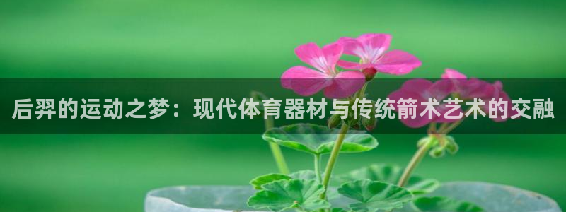 意昂体育4招商电话地址：后羿的运动之梦：现代体育器材