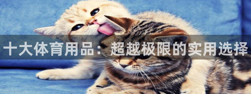 意昂体育4联系电话：十大体育用品：超越极限的实用选择