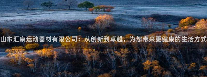 意昂4娱乐：山东汇康运动器材有限公司：从创新到卓越，