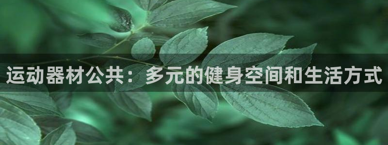 意昂4娱乐网站：运动器材公共：多元的健身空间和生活方