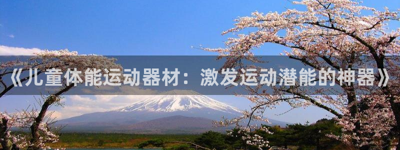 意昂4娱乐：《儿童体能运动器材：激发运动潜能的神器》