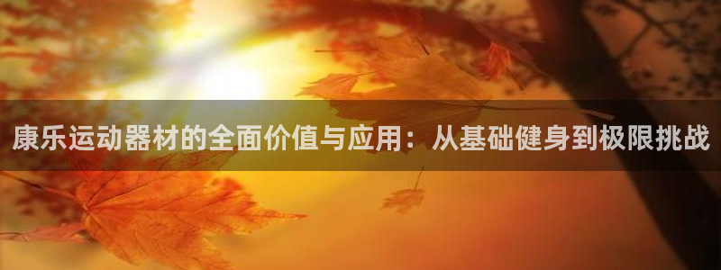 意昂体育4是干嘛的公司：康乐运动器材的全面价值与应用