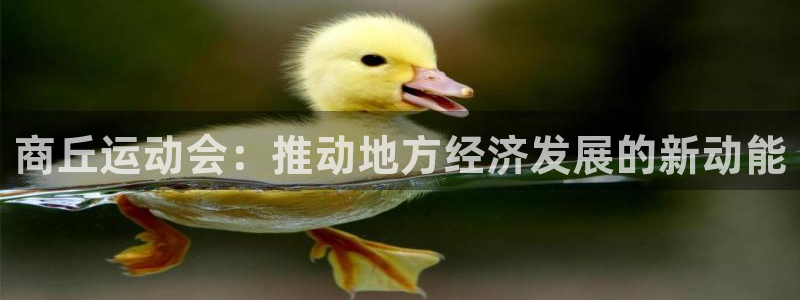 意昂体育4平台注册要钱吗：商丘运动会：推动地方经济发