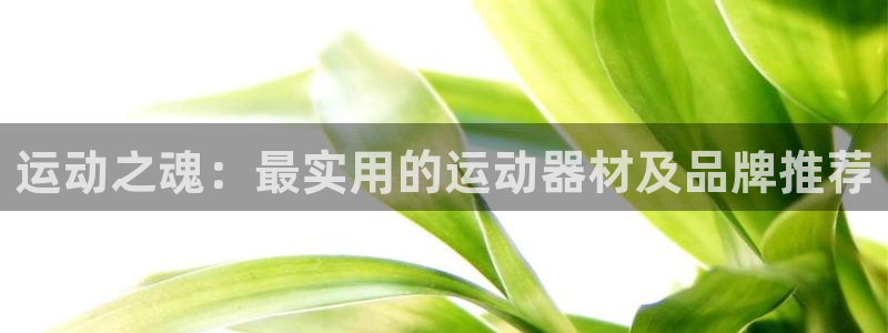 意昂体育4开户：运动之魂：最实用的运动器材及品牌推荐