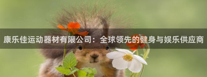 意昂体育4招商电话号码查询是多少：康乐佳运动器材有限