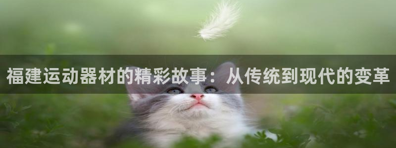 意昂4集团E.ON：福建运动器材的精彩故事：从传统到