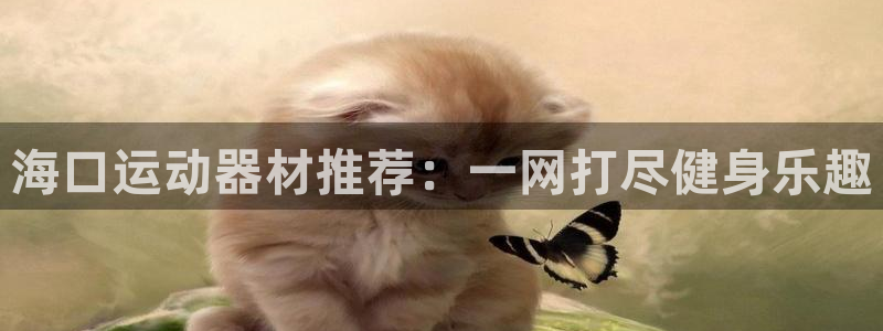 意昂4开户：海口运动器材推荐：一网打尽健身乐趣