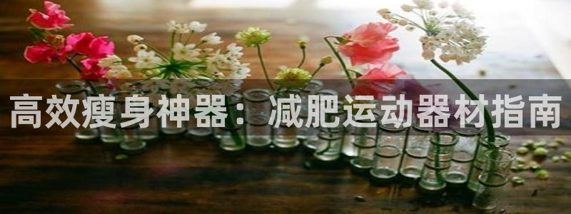 意昂4娱乐40996：高效瘦身神器：减肥运动器材指南