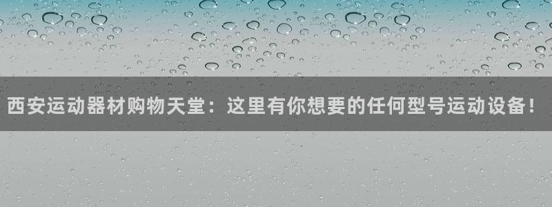 意昂4代理：西安运动器材购物天堂：这里有你想要的任何