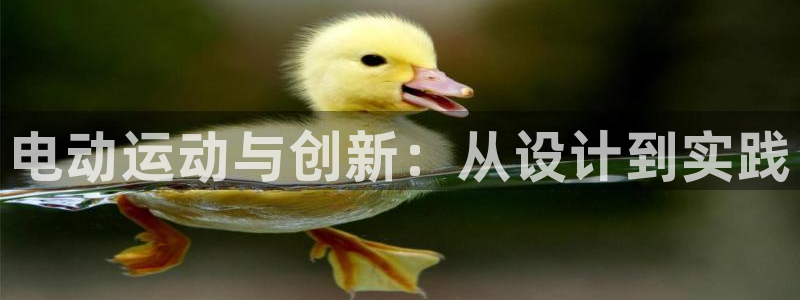 意昂4五金厂：电动运动与创新：从设计到实践