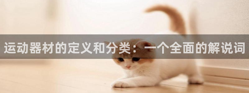 意昂4代理：运动器材的定义和分类：一个全面的解说词