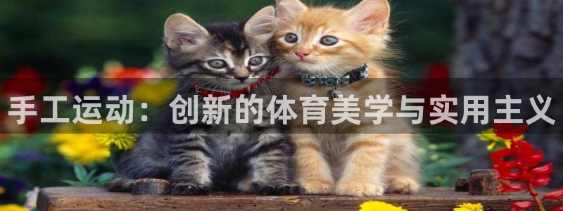 意昂4娱乐平台：手工运动：创新的体育美学与实用主义