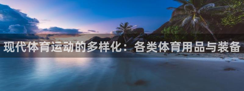 海南意昂体育4：现代体育运动的多样化：各类体育用品与