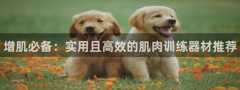 意昂体育4招商电话是多少啊：增肌必备：实用且高效的肌