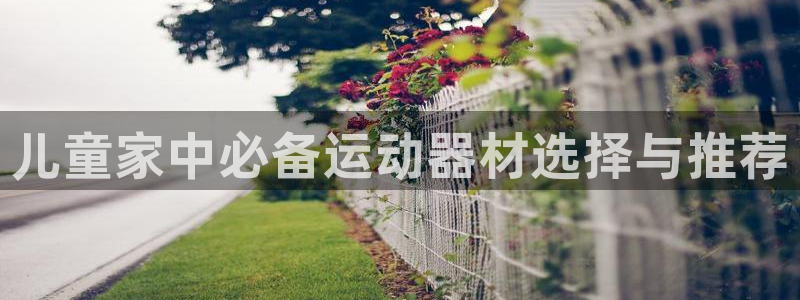 意昂体育4招商电话地址：儿童家中必备运动器材选择与推