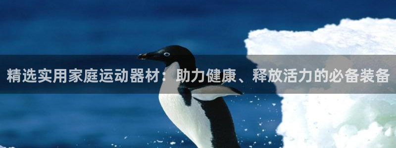 注册意昂4：精选实用家庭运动器材：助力健康、释放活力