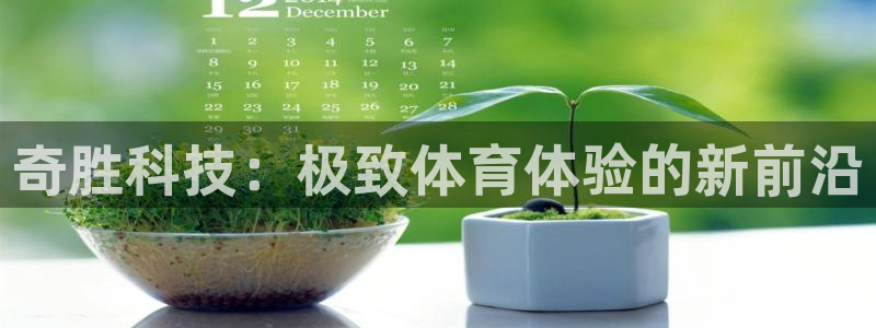 意昂体育4平台注册流程视频：奇胜科技：极致体育体验的新前沿