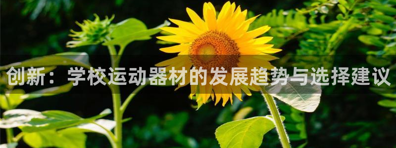 意昂体育4平台APP：创新：学校运动器材的发展趋势与