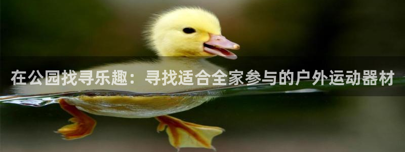 意昂体育4：在公园找寻乐趣：寻找适合全家参与的户外运