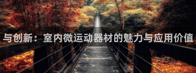 意昂体育4招商电话号码查询：与创新：室内微运动器材的
