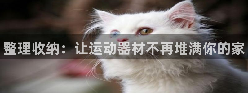 意昂体育4招商电话号码：整理收纳：让运动器材不再堆满你的家