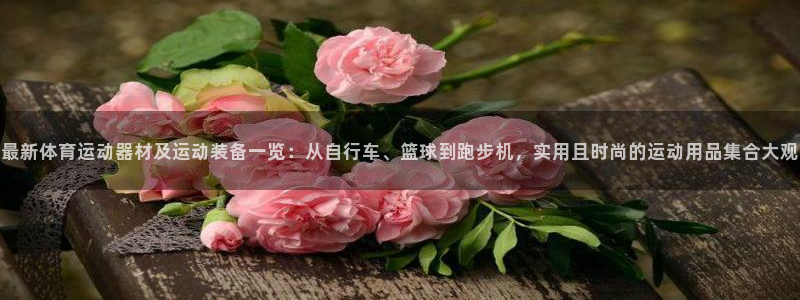 意昂体育4招商