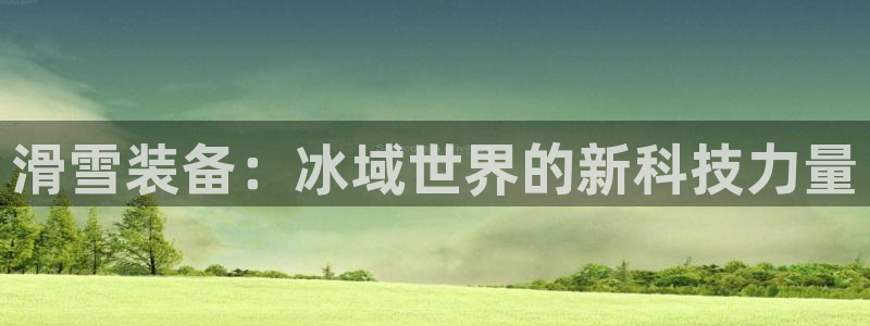 德国意昂4集团
