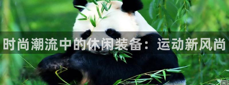 德国意昂4集团：时尚潮流中的休闲装备：运动新风尚