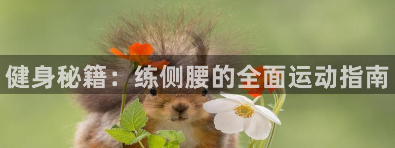 意昂4娱乐网站：健身秘籍：练侧腰的全面运动指南