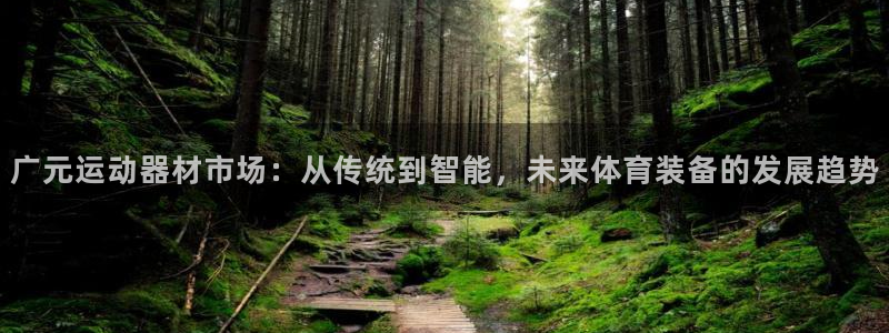 海南意昂体育4发展怎么样：广元运动器材市场：从传统到