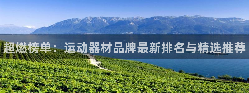 意昂4五金厂：超燃榜单：运动器材品牌最新排名与精选推