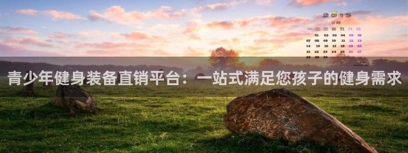 意昂体育4平台APP：青少年健身装备直销平台：一站式