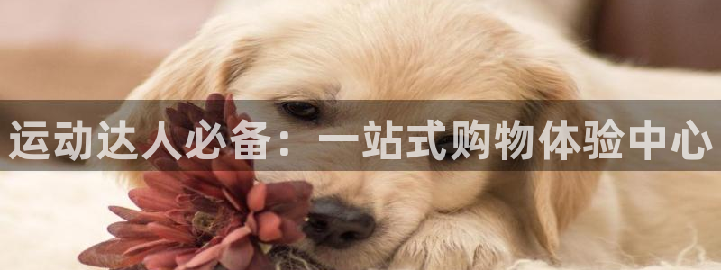 意昂4开户：运动达人必备：一站式购物体验中心