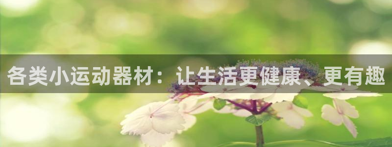 意昂体育4招商：各类小运动器材：让生活更健康、更有趣