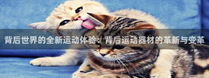 德国意昂4集团：背后世界的全新运动体验：背后运动器材