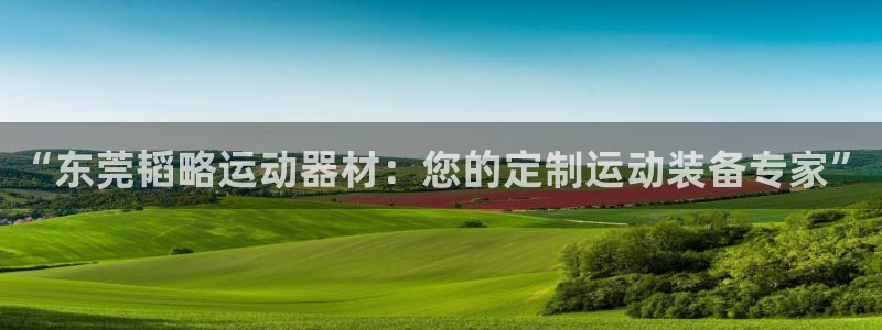 意昂4集团E.ON：“东莞韬略运动器材：您的定制运动装备专家