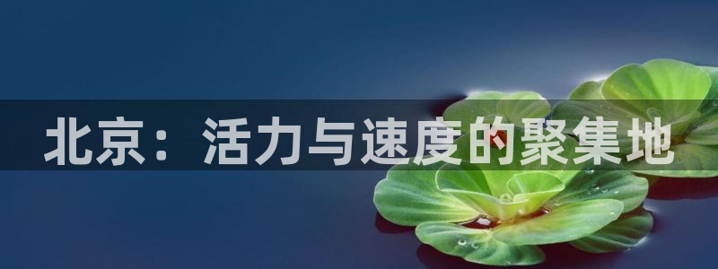 海南意昂体育4发展怎么样：北京：活力与速度的聚集地
