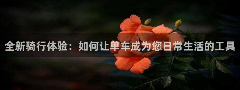 意昂平台体育：全新骑行体验：如何让单车成为您日常生活的工具