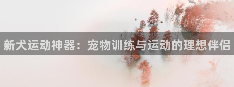 意昂体育4招商电话是多少啊：新犬运动神器：宠物训练与运动的理